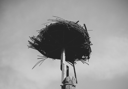 IMG 0033