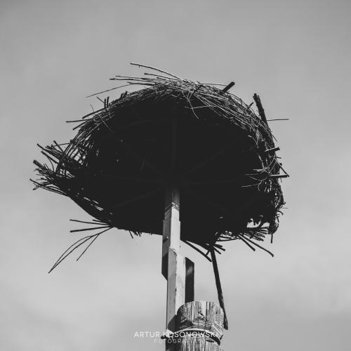 Img 0033